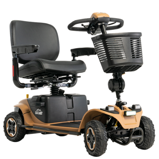 Baja Mobility Bandit Outdoor Travel Scooter